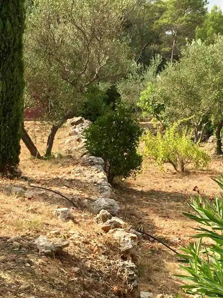 Athena Villa Lorgues