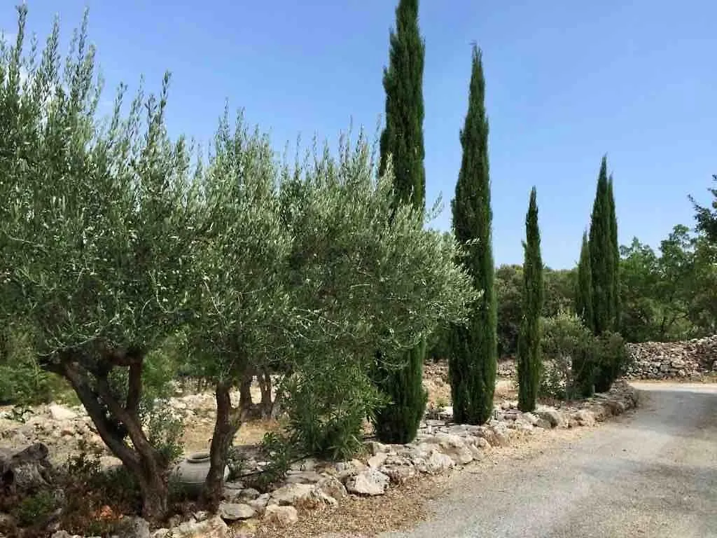 Athena Villa Lorgues